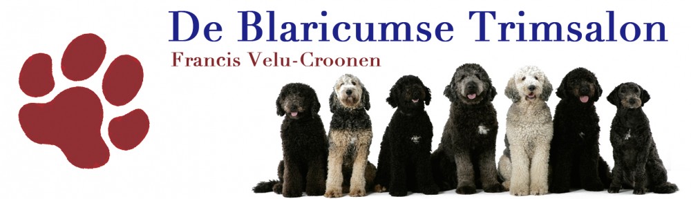 De Blaricumse Trimsalon